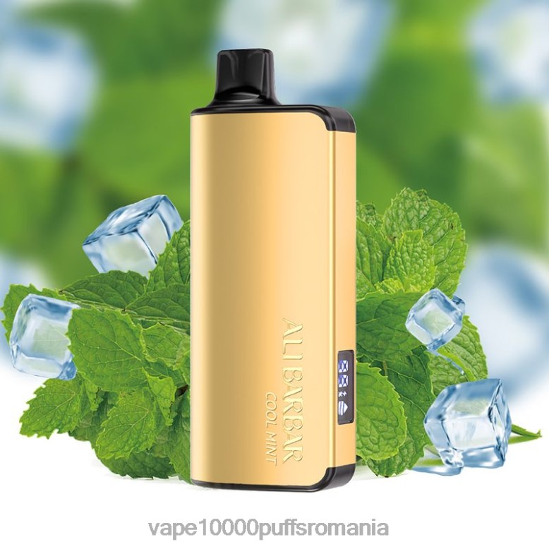 Vape 10000 Puffs Romania - Alibarbar Ingot 20000 vape de unică folosință menta rece XV08J35