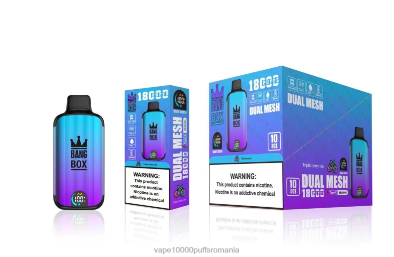 Vape 10000 Puffs Romania - Bang Box 18000 pufuri gheață cu fructe de pădure triple R8PF495