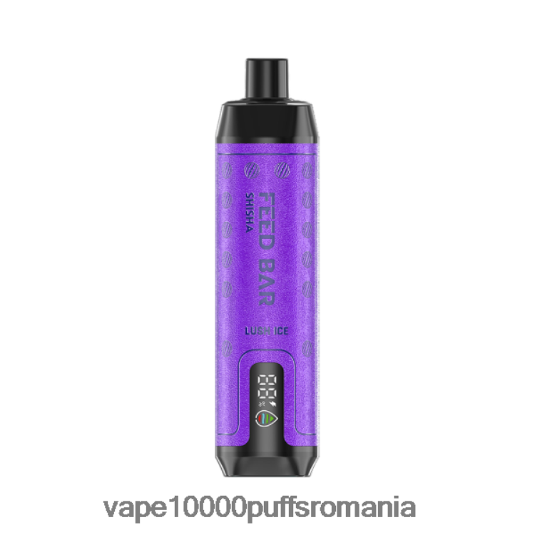 Vape 10000 Puffs Romania - Vapsolo SHISHA vapa de unică folosință gheață luxuriantă D2V6N6120