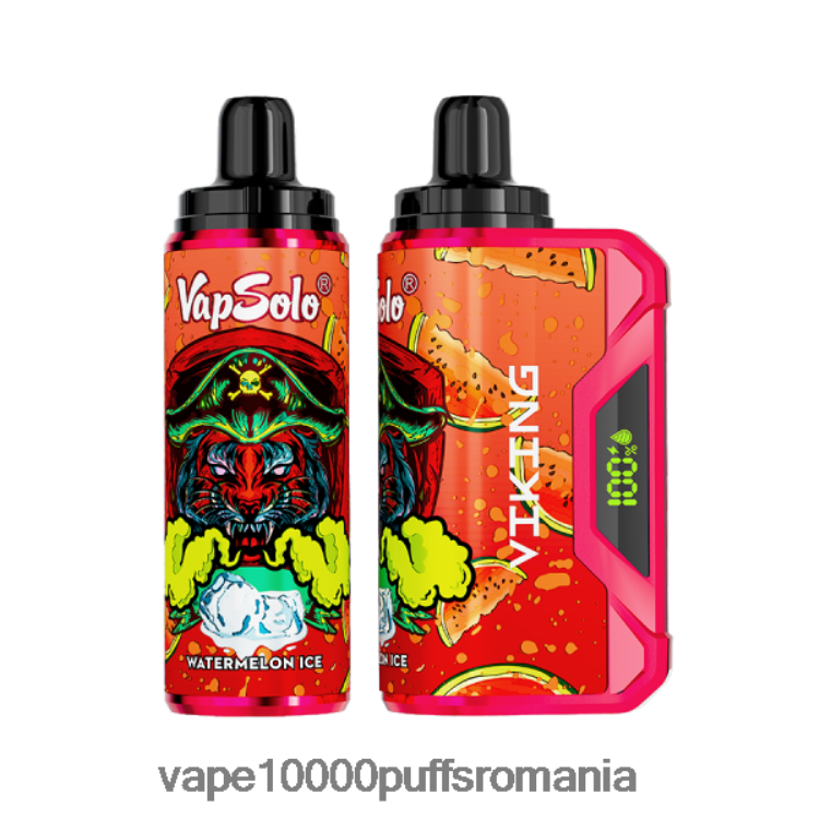 Vape 10000 Puffs Romania - Vapsolo VIKING vapa de unică folosință gheata de pepene verde D2V6N6160