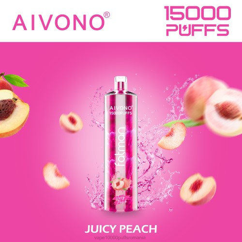 Vape 9000 Puffs - Aivono FATMAN 15000 200017 piersic suculent