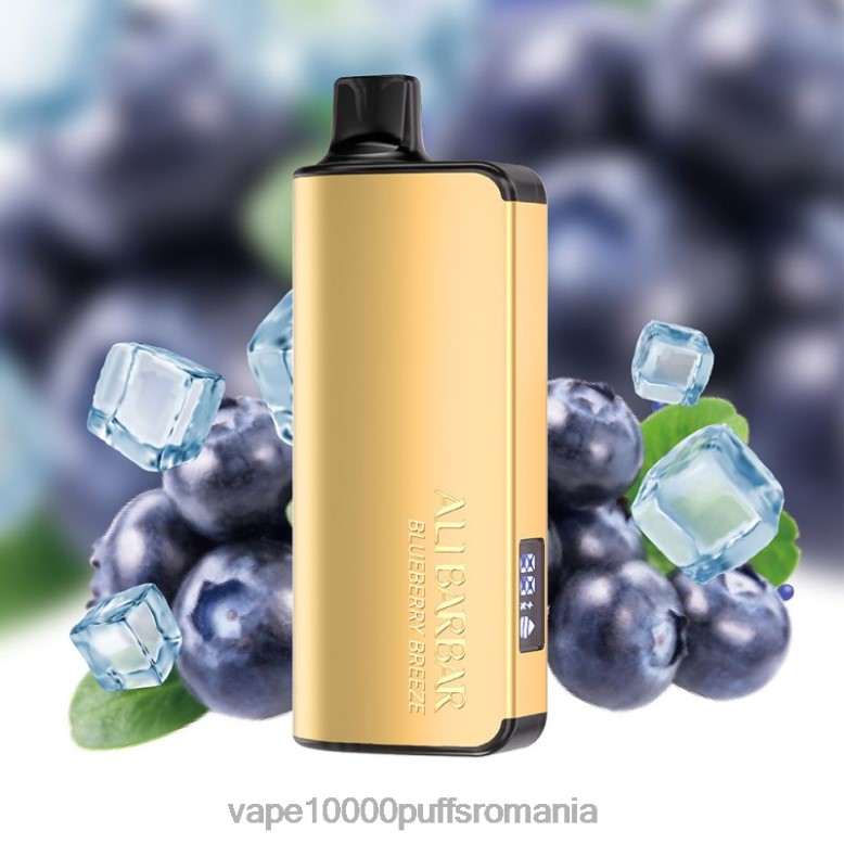 Vape 9000 Puffs - Alibarbar Ingot 20000 vape de unică folosință briza afinelor XV08J32