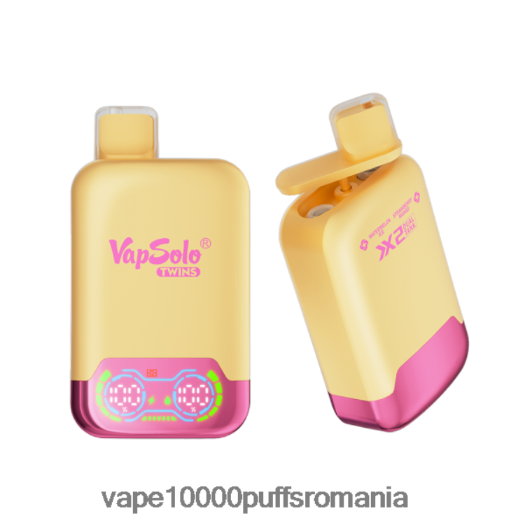 Vape 9000 Puffs - Vapsolo TWINS vapa de unică folosință gheață de pepene verde și mango cu căpșuni D2V6N6147