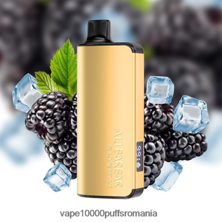 Vape Reincarcabil - Alibarbar Ingot 20000 vape de unică folosință gheata de mure D2V6N649