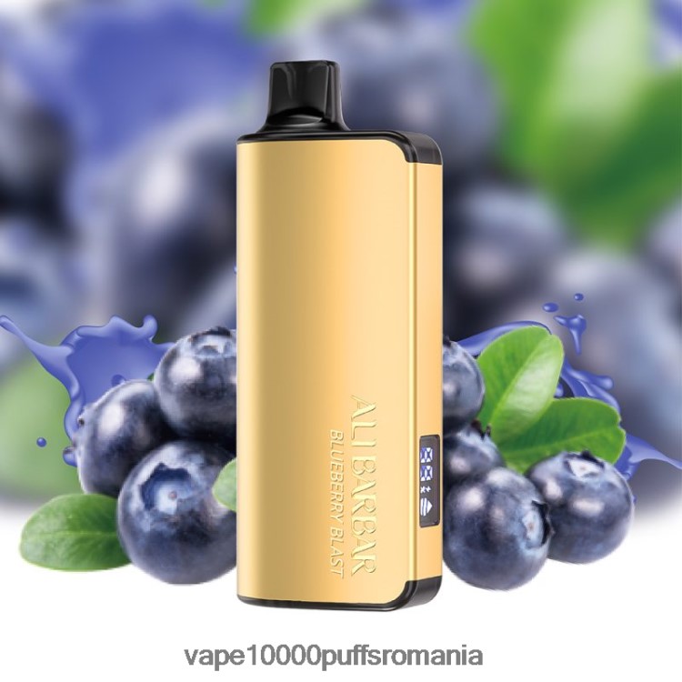 Vape Romania - Alibarbar Ingot 20000 vape de unică folosință explozie de afine D2V6N631