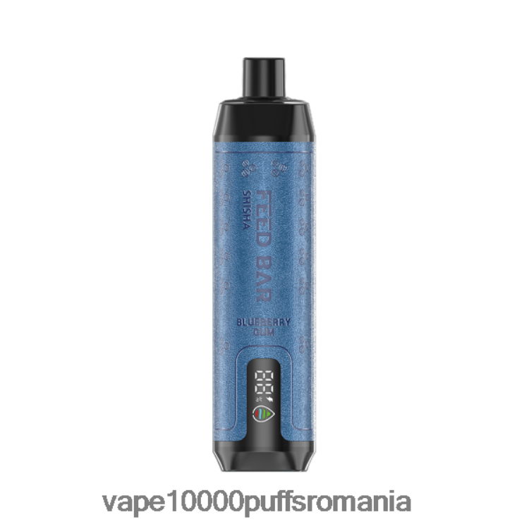 Vape Romania - Vapsolo SHISHA vapa de unică folosință gumă de afine D2V6N6116