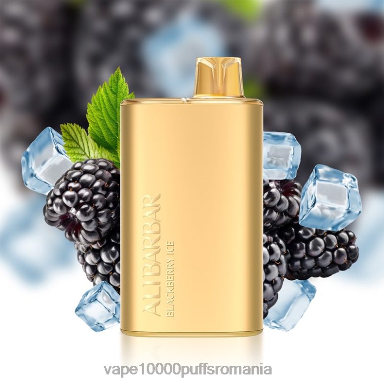 Vape 10000 Puffs Romania - Alibarbar Rich 8000 vape de unică folosință gheata de mure XV08J10