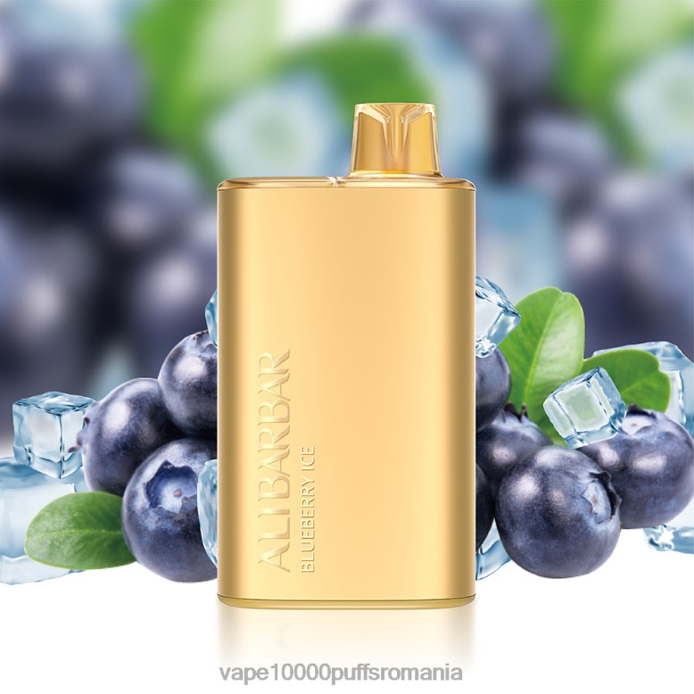 Vape 10000 Puffs Romania - Alibarbar Rich 8000 vape de unică folosință gheata de mure XV08J10