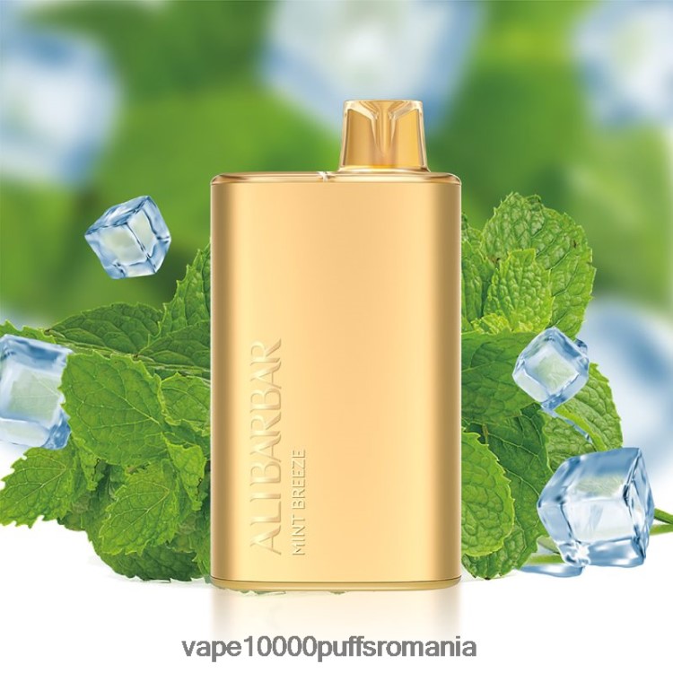 Vape Fara Nicotina - Alibarbar Rich 8000 vape de unică folosință briza de mentă D2V6N68