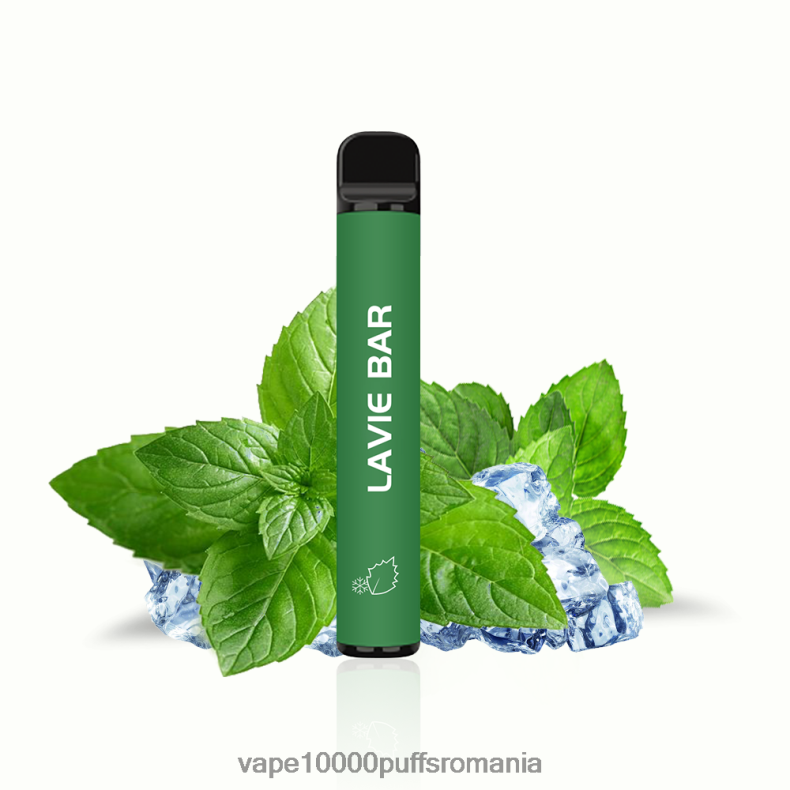 Vape 10000 Puffs Romania - LAVIE BAR 2% versiunea 800 pufuri menta rece JR2J2F320