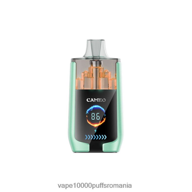 Vape 10000 Puffs Romania - LAVIE CAMEO 30000 de pufuri măr dublu JR2J2F20