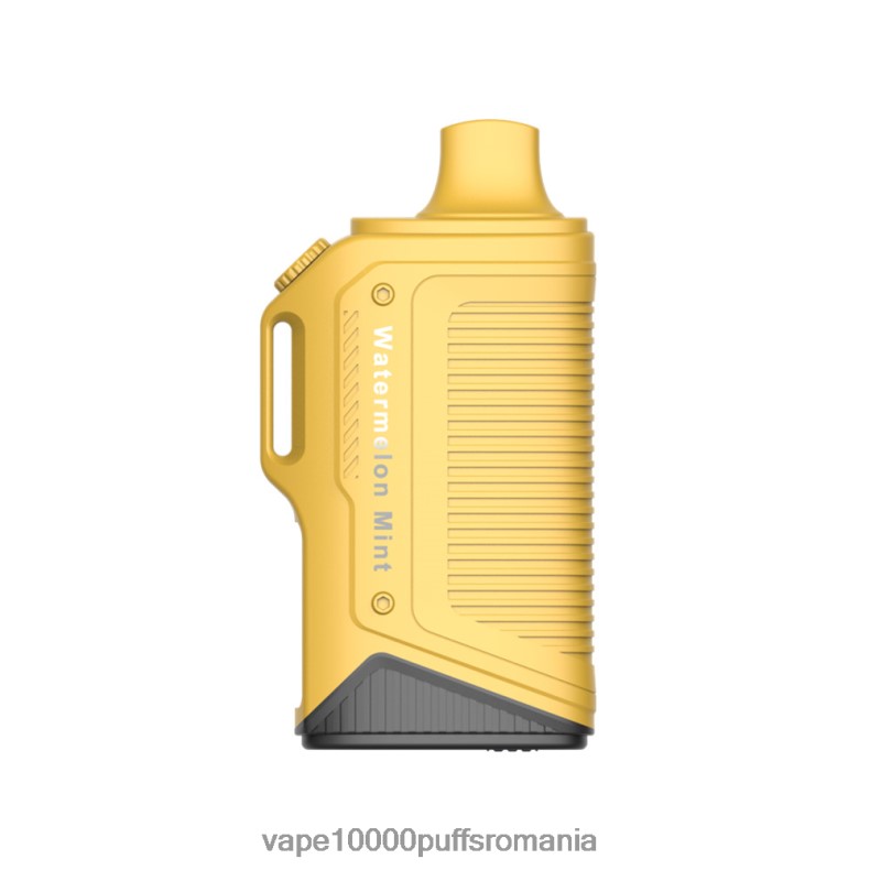 Vape 10000 Puffs Romania - LAVIE Energy Box 15000 pufuri pepene verde menta JR2J2F70