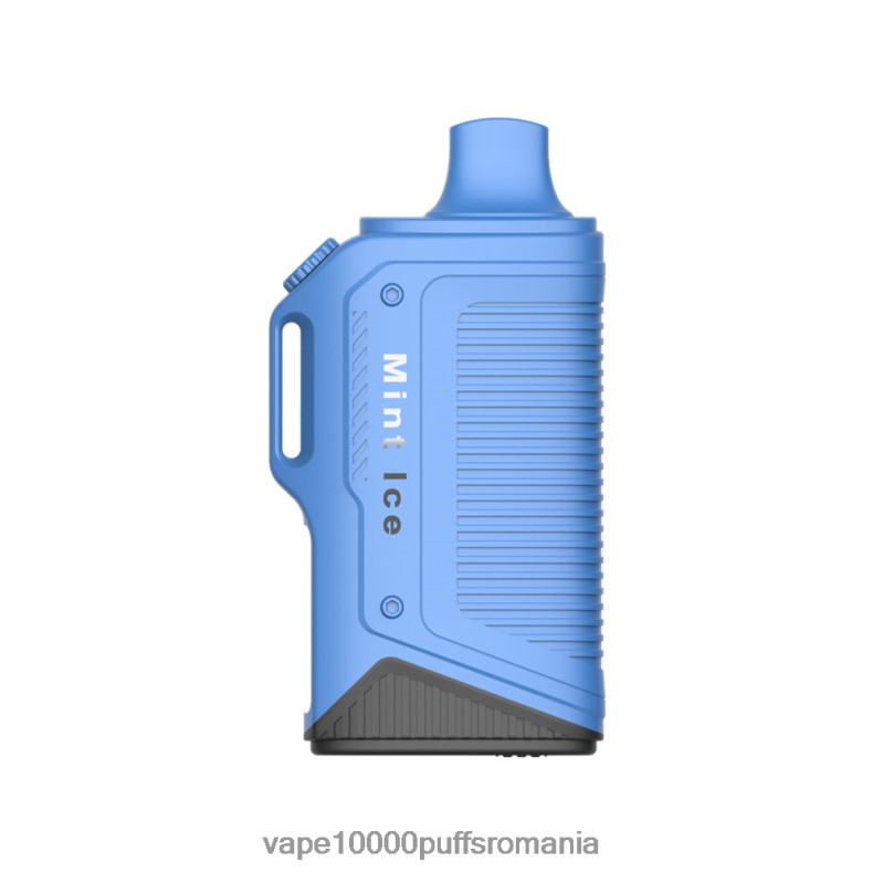 Vape 9000 Puffs - LAVIE Energy Box 15000 pufuri gheata de menta JR2J2F72