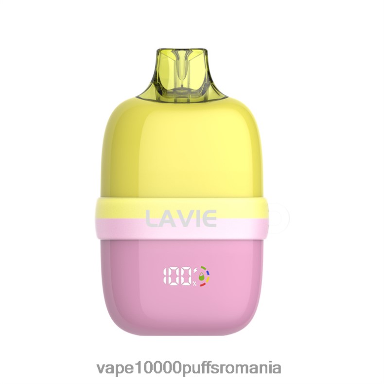 Vape 9000 Puffs - LAVIE INSIDER 12000 pufuri gheata de pepene verde JR2J2F82
