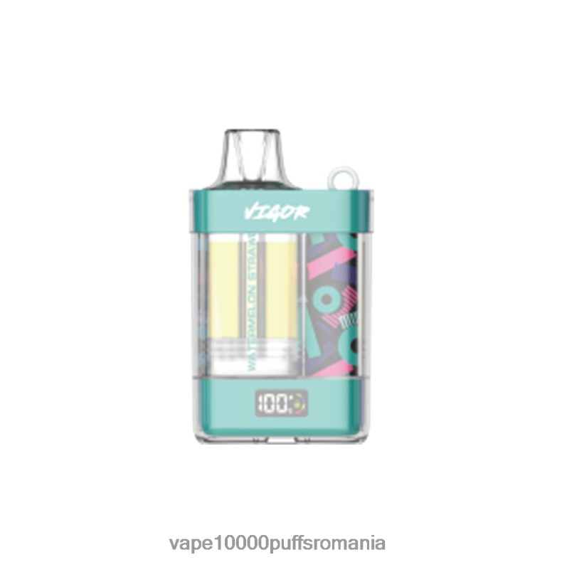 Vape 9000 Puffs - LAVIE VIGOR 15000 pufuri pepene verde căpșuni JR2J2F12