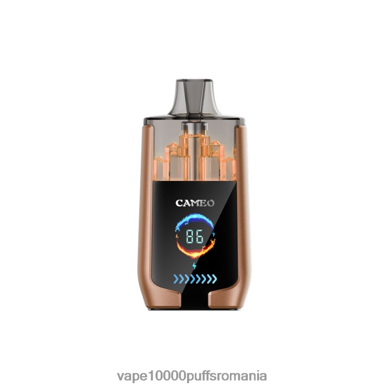 Vape Fara Nicotina - LAVIE CAMEO 30000 de pufuri gheata de cafea JR2J2F18