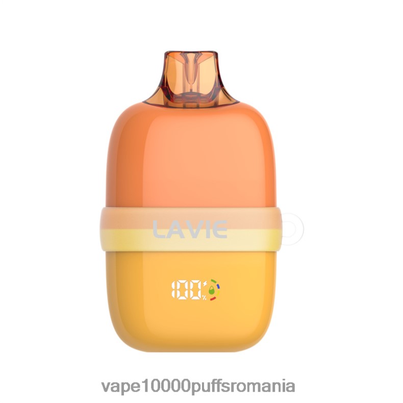Vape Fara Nicotina - LAVIE INSIDER 12000 pufuri gheata de mango JR2J2F83
