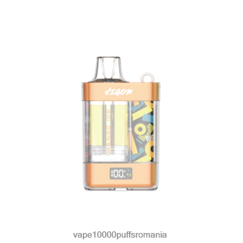 Vape Fara Nicotina - LAVIE VIGOR 15000 pufuri gheata de mango JR2J2F3