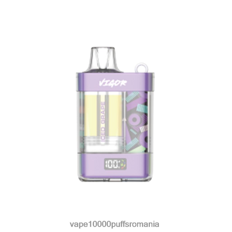 Vape Fara Nicotina - LAVIE VIGOR 15000 pufuri struguri înghețați JR2J2F8