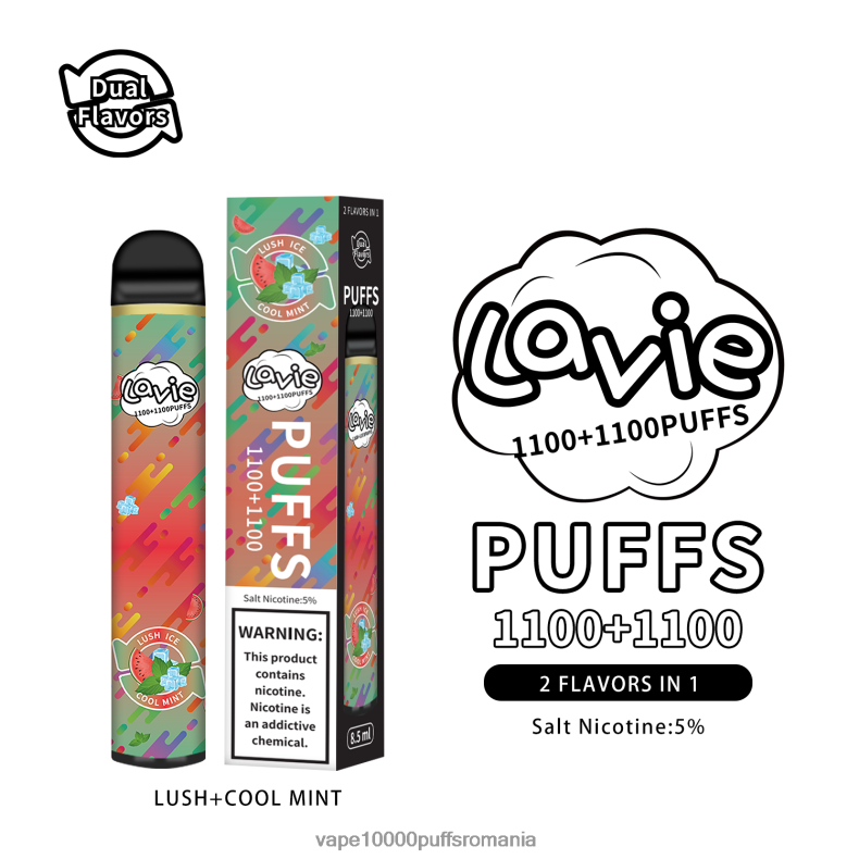 Vape Reincarcabil - LAVIE BAR Switch 2200 pufuri mentă luxuriantă/rece JR2J2F294