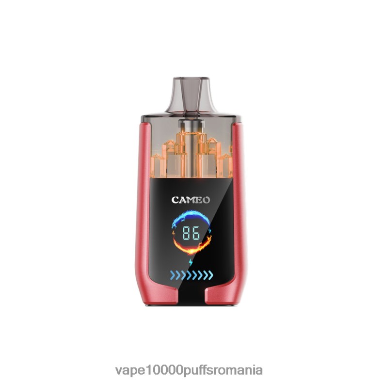 Vape Reincarcabil - LAVIE CAMEO 30000 de pufuri gheata de pepene verde JR2J2F14