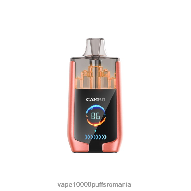 Vape Reincarcabil - LAVIE CAMEO 30000 de pufuri pepene verde căpșuni JR2J2F24