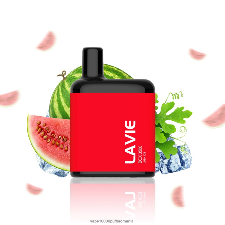 Vape Romania - LAVIE BOX 3500 pufuri gheață luxuriantă JR2J2F211