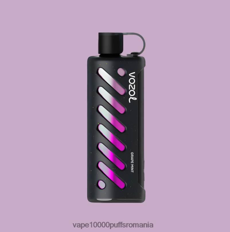Vape Romania - VOZOL unelte shisha 25000 HP2RR1